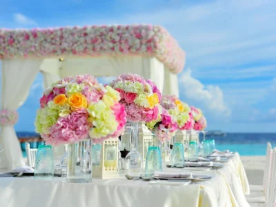 master wedding planner OSBORD